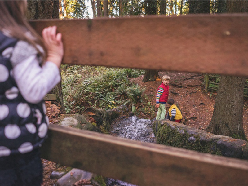 和冯达夫小沼之什原文注释译文赏析-黄裳诗词-宋诗全集