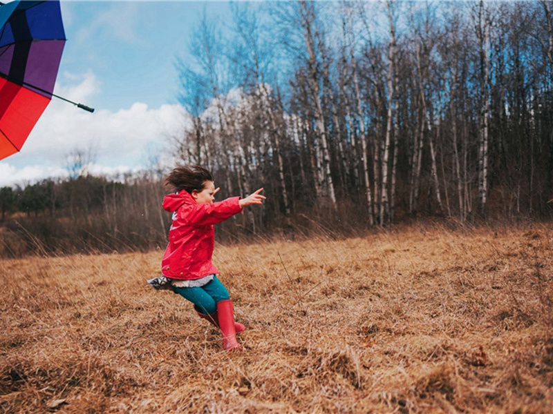 和洪秀才八首·其五原文注释译文赏析-胡寅诗词-宋诗全集