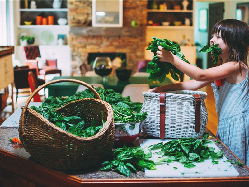和君仪感时书事原文注释译文赏析-郭祥正诗词-宋诗全集
