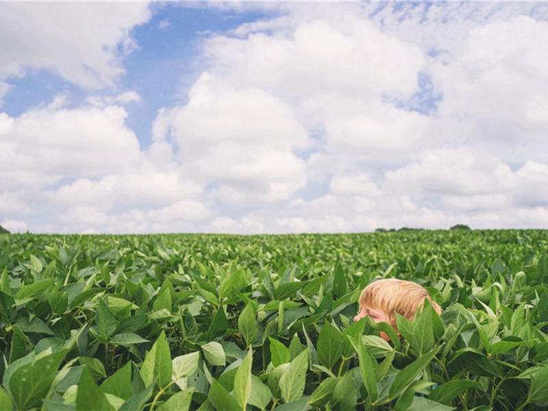 和林东乔东禅院原文注释译文赏析-李存贤诗词-宋诗全集