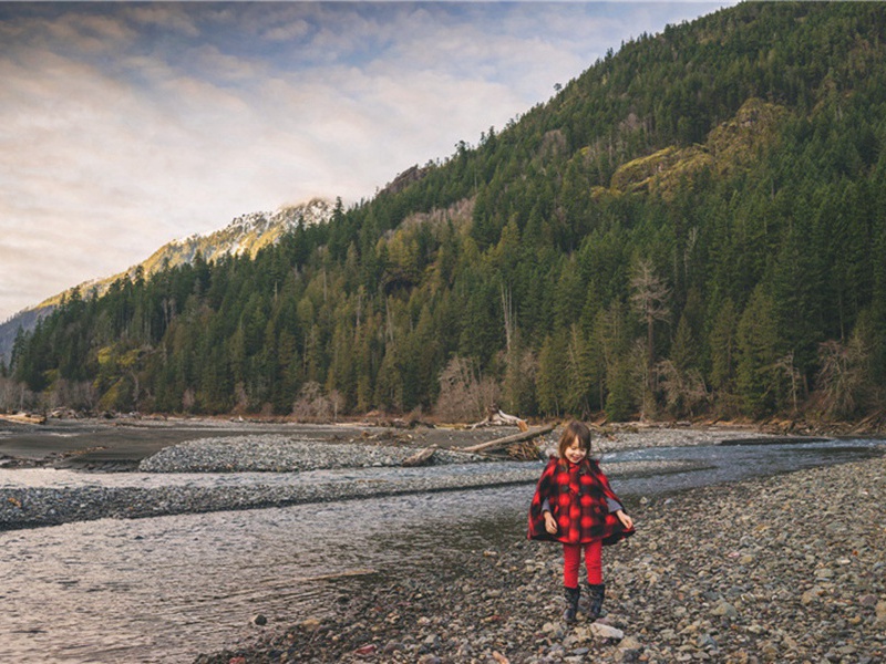 和刘卿材十咏·水鸭原文注释译文赏析-黄庶诗词-宋诗全集