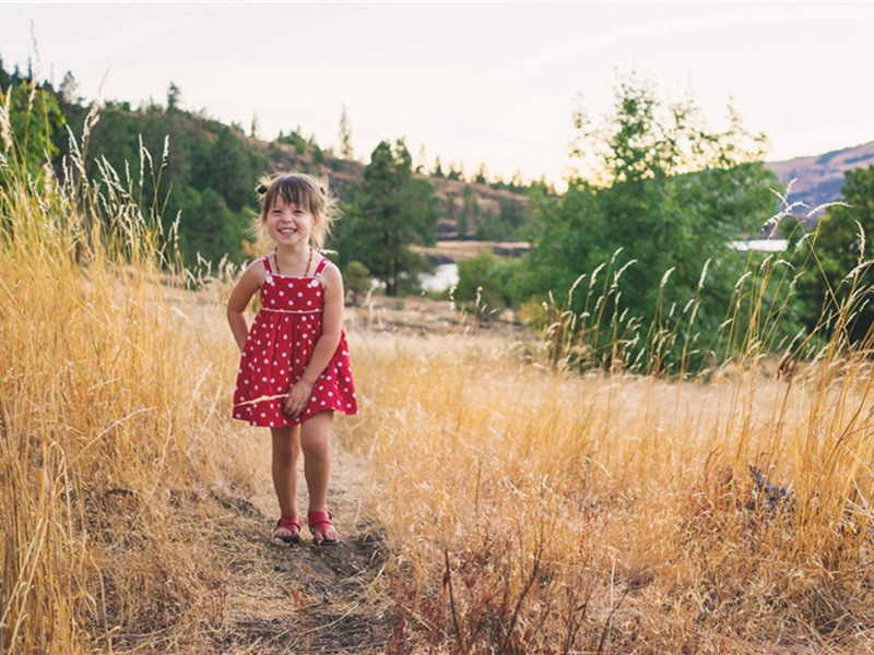 奉和孙奉议谢送菜原文注释译文赏析-黄庭坚诗词-宋诗全集