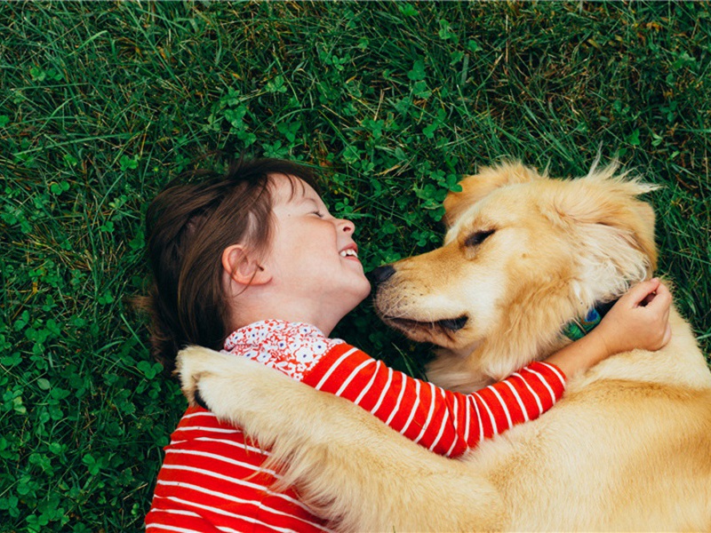 和彦仲长汀铺留题原文注释译文赏析-胡寅诗词-宋诗全集
