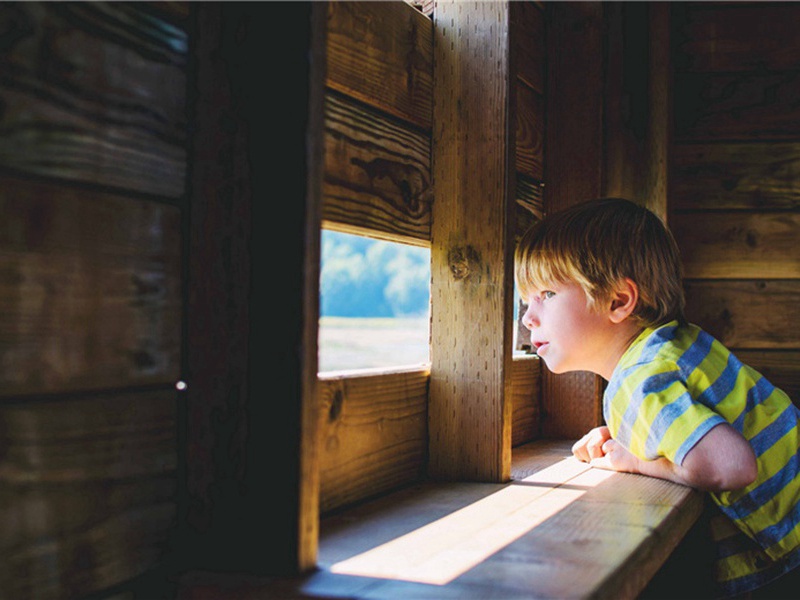 和门下侍郎东省夜直寄左丞光禄原文注释译文赏析-范祖禹诗词-宋诗全集