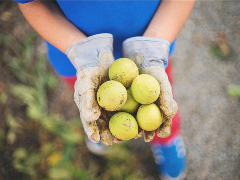 桂林送人之琼州招捕海寇原文注释译文赏析-乐雷发诗词-宋诗全集
