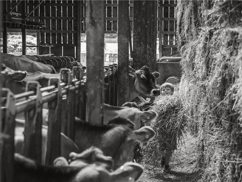 范参议宜人高氏挽诗·其一原文注释译文赏析-李弥逊诗词-宋诗全集