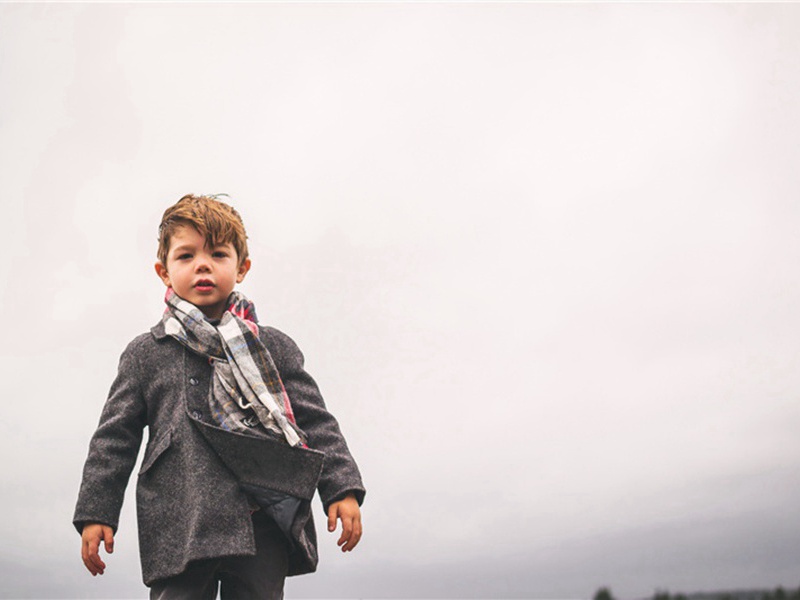 和圣美华池感事原文注释译文赏析-范纯仁诗词-宋诗全集