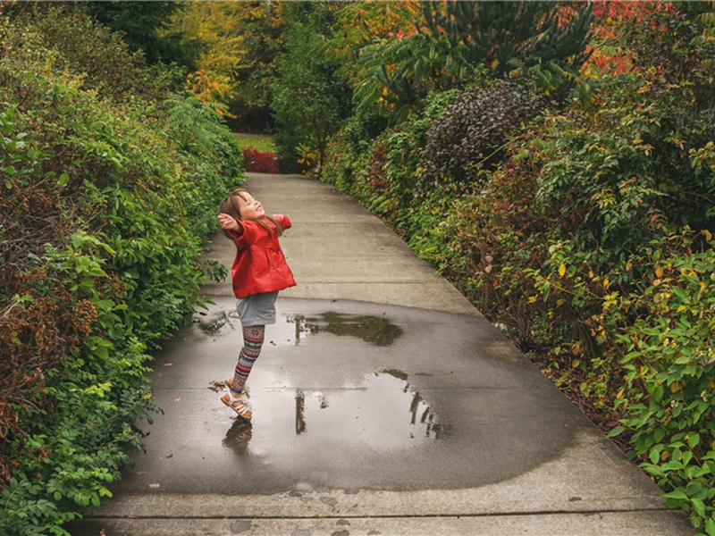 即事原文注释译文赏析-李流谦诗词-宋诗全集