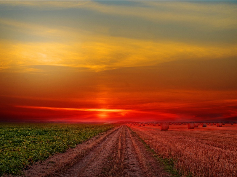 谢彭大夫惠寒山诗三首·其二原文注释译文赏析-曹勋诗词-宋诗全集