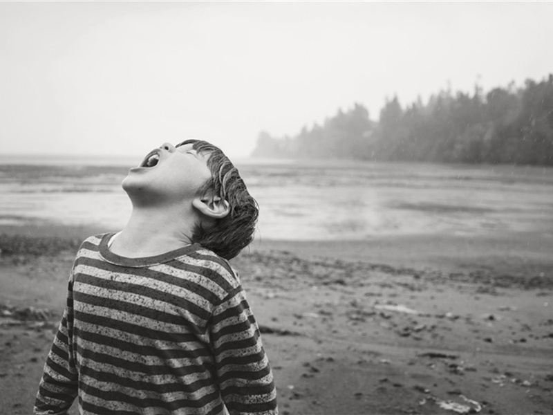 慈圣光献皇后挽词二首·其二原文注释译文赏析-范纯仁诗词-宋诗全集