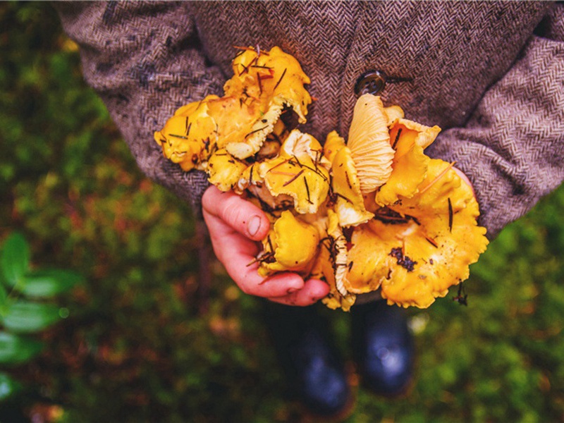 初抵富沙·其二原文注释译文赏析-华岳诗词-宋诗全集