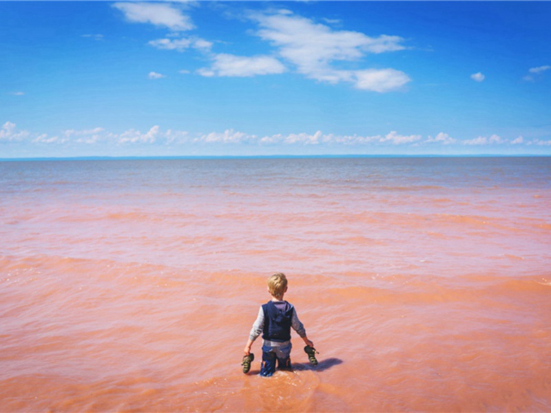 和杨公济钱塘西湖百题·柳洲原文注释译文赏析-郭祥正诗词-宋诗全集