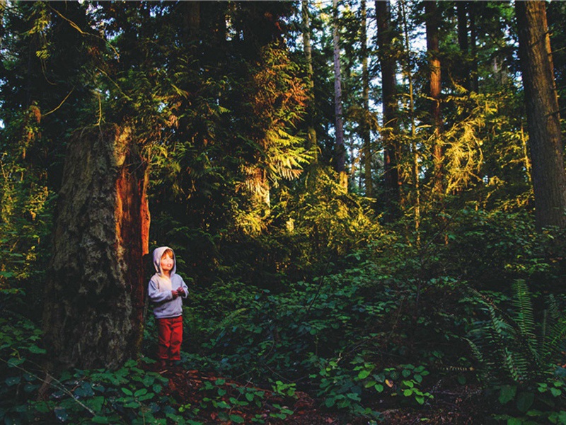 酬李推官淮上见寄原文注释译文赏析-郭祥正诗词-宋诗全集