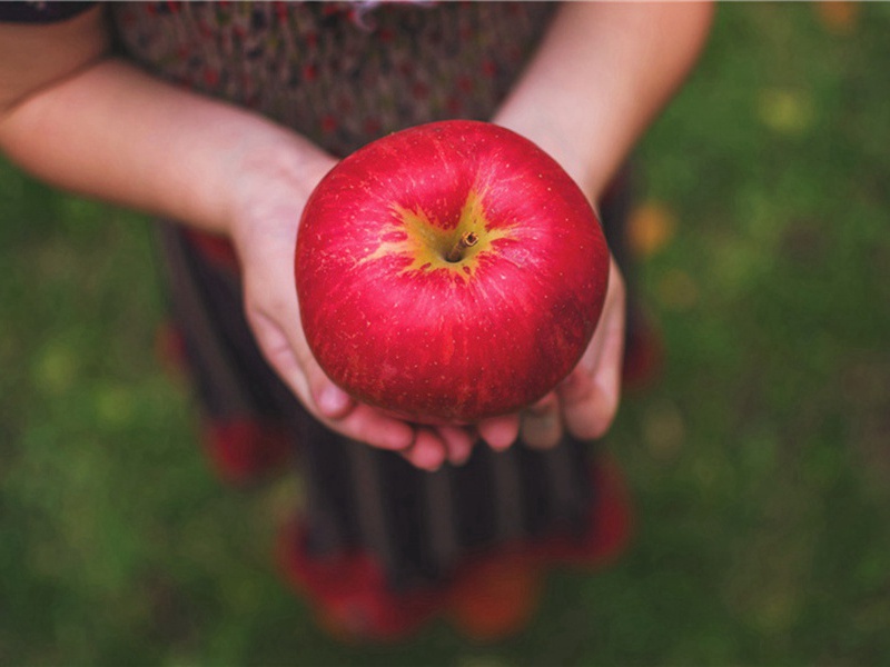 次韵德孺晚菊原文注释译文赏析-李处权诗词-宋诗全集