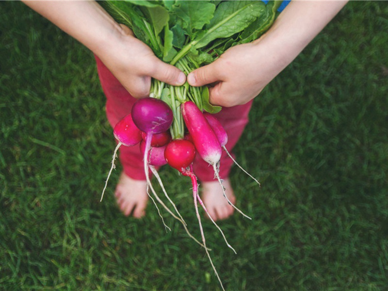 夫人阁四首·其三原文注释译文赏析-韩维诗词-宋诗全集