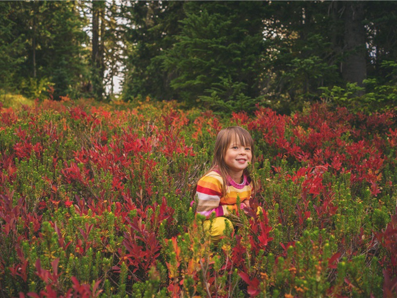 中秋舟次沙津原文注释译文赏析-黄大受诗词-宋诗全集