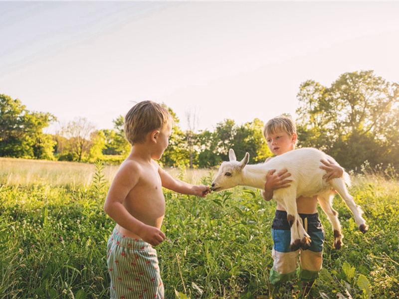 寄和卿丈原文注释译文赏析-韩淲诗词-宋诗全集