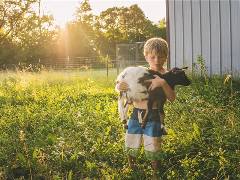 慧聚杂题·慧照堂原文注释译文赏析-李乘诗词-宋诗全集