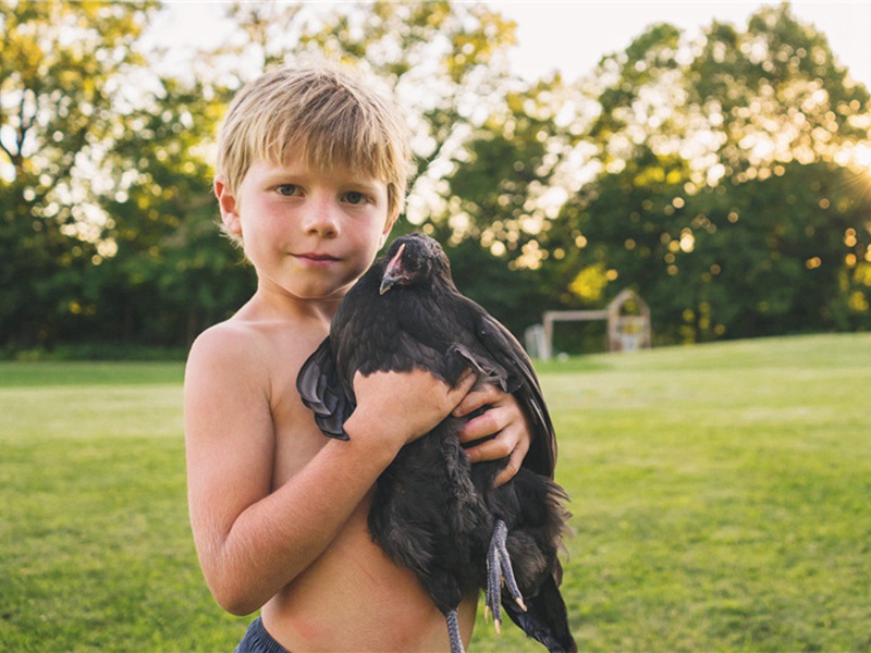 和蒋志父春风亭韵·其二原文注释译文赏析-李曾伯诗词-宋诗全集