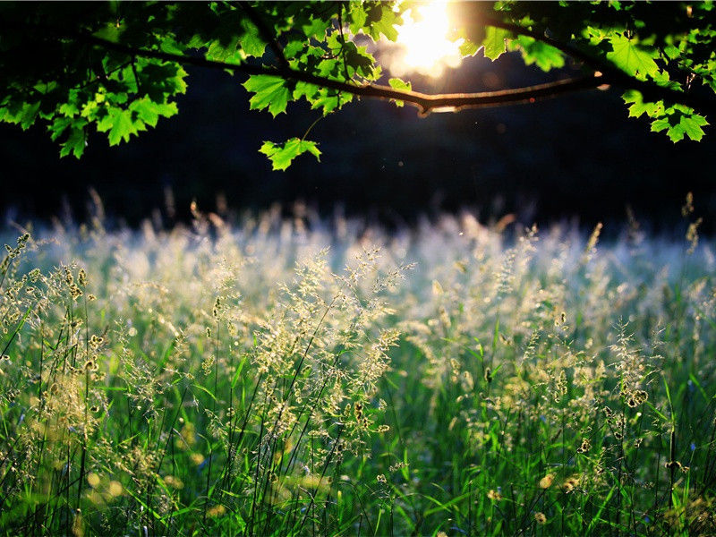 淳化乡饮酒三十三章·其一八原文注释译文赏析-郊庙朝会歌辞诗词-宋诗全集