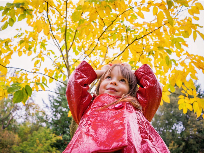 春晚呈节斋赵大资二首·其二原文注释译文赏析-李龏诗词-宋诗全集