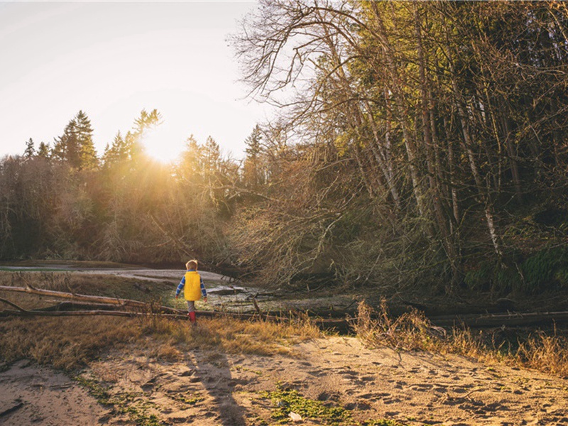 端门肆赦原文注释译文赏析-郭祥正诗词-宋诗全集