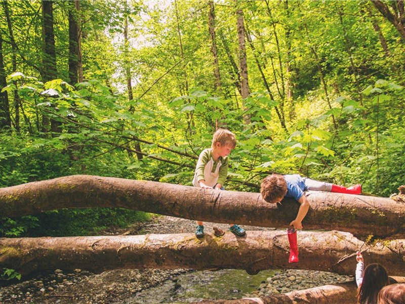 过邵尧夫先生原文注释译文赏析-富弼诗词-宋诗全集