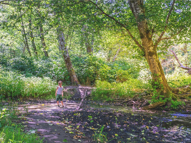 句原文注释译文赏析-方至诗词-宋诗全集