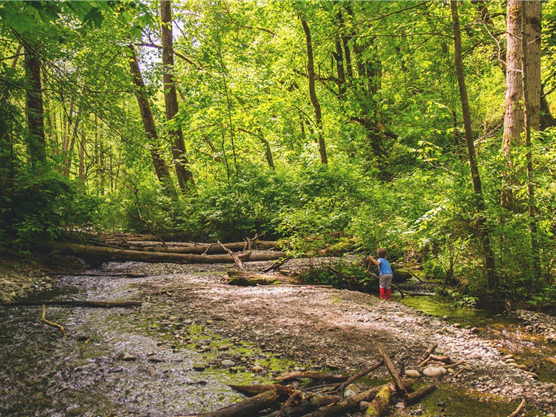 会食原文注释译文赏析-孔平仲诗词-宋诗全集