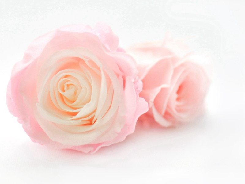 郡斋戏句·其四原文注释译文赏析-晁说之诗词-宋诗全集