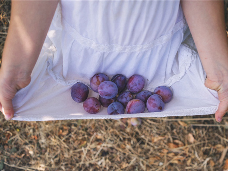 元亮次韵四绝相撩和答·其一原文注释译文赏析-李彭诗词-宋诗全集