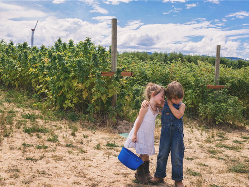 题立上舍草意原文注释译文赏析-方回诗词-宋诗全集