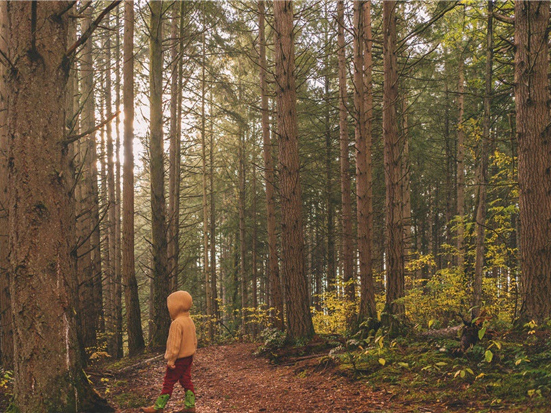 用程兄韵奉诸公题跋还人原文注释译文赏析-方岳诗词-宋诗全集