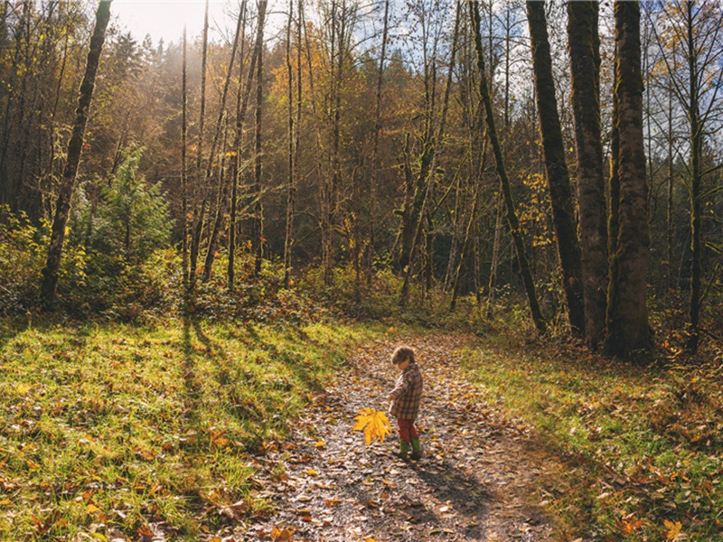 和韵·其二原文注释译文赏析-韩淲诗词-宋诗全集