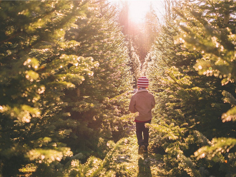 送郑居之原文注释译文赏析-頼铸诗词-宋诗全集