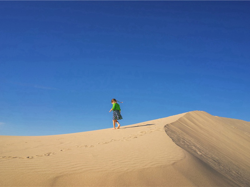 送崔少蓬南归·其四原文注释译文赏析-洪咨夔诗词-宋诗全集