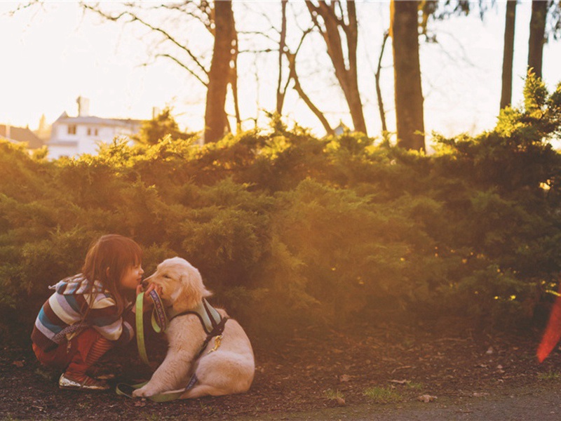 次李参政晚春湖上口占十绝·其二原文注释译文赏析-洪咨夔诗词-宋诗全集