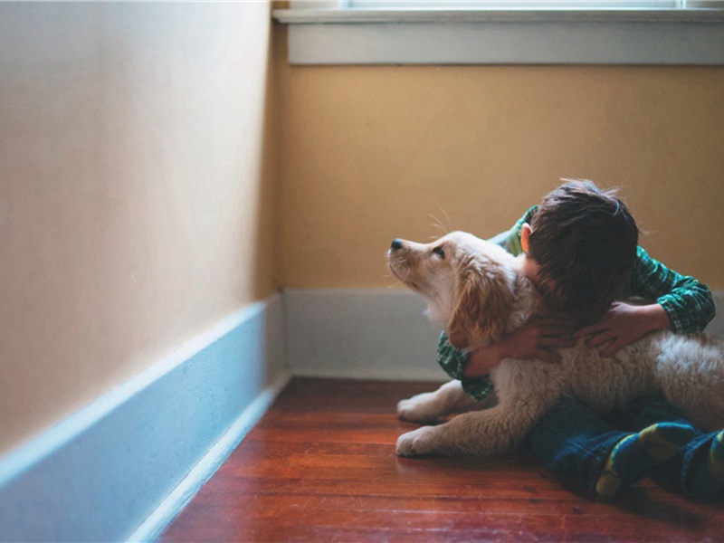 寄题萧丈止亭原文注释译文赏析-孔平仲诗词-宋诗全集