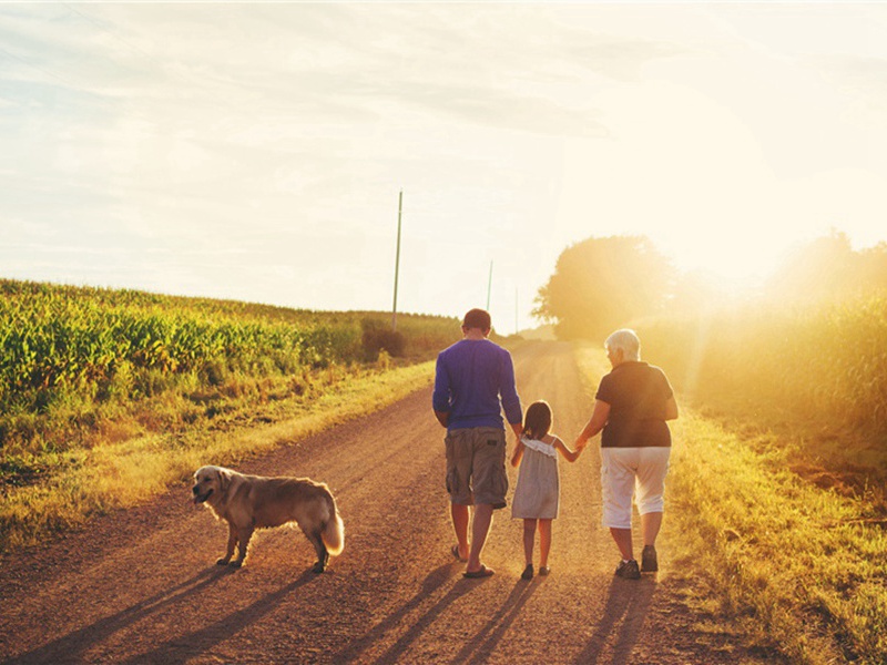 落叶原文注释译文赏析-胡宿诗词-宋诗全集