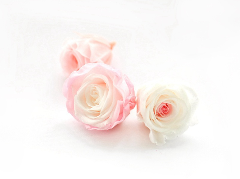 独游保宁凤凰台原文注释译文赏析-程俱诗词-宋诗全集