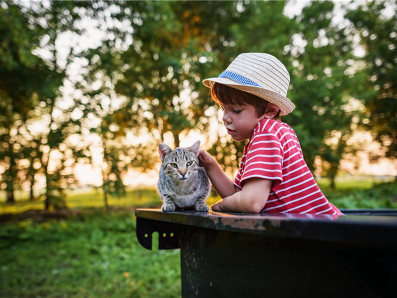 云岩原文注释译文赏析-冯时行诗词-宋诗全集