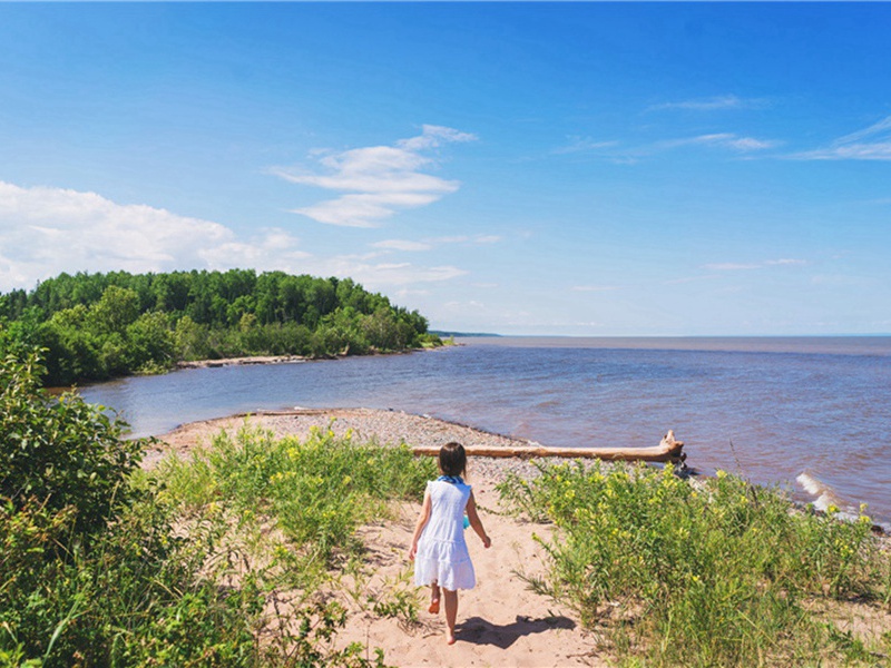 春日独酌十首·其六原文注释译文赏析-郭祥正诗词-宋诗全集