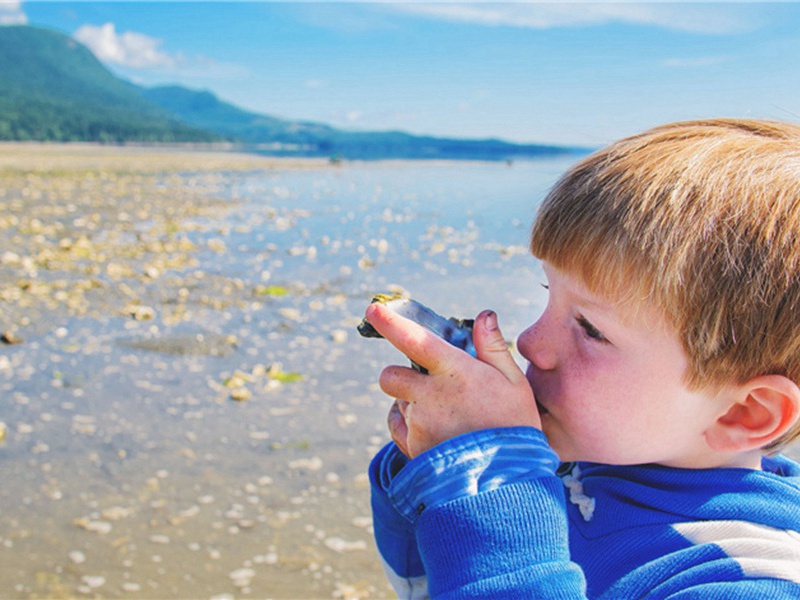 游云居四首·其四原文注释译文赏析-李彭诗词-宋诗全集