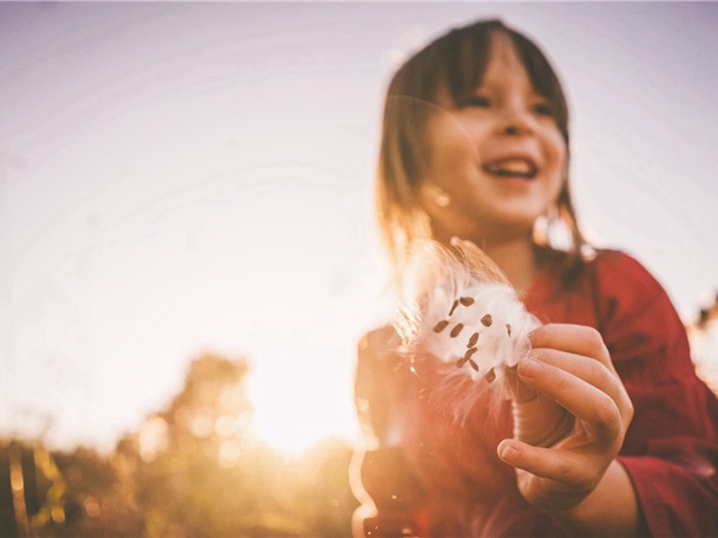 寄致仕李洵大夫原文注释译文赏析-韩维诗词-宋诗全集