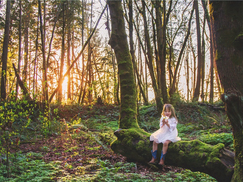 发阆州·其二原文注释译文赏析-洪咨夔诗词-宋诗全集