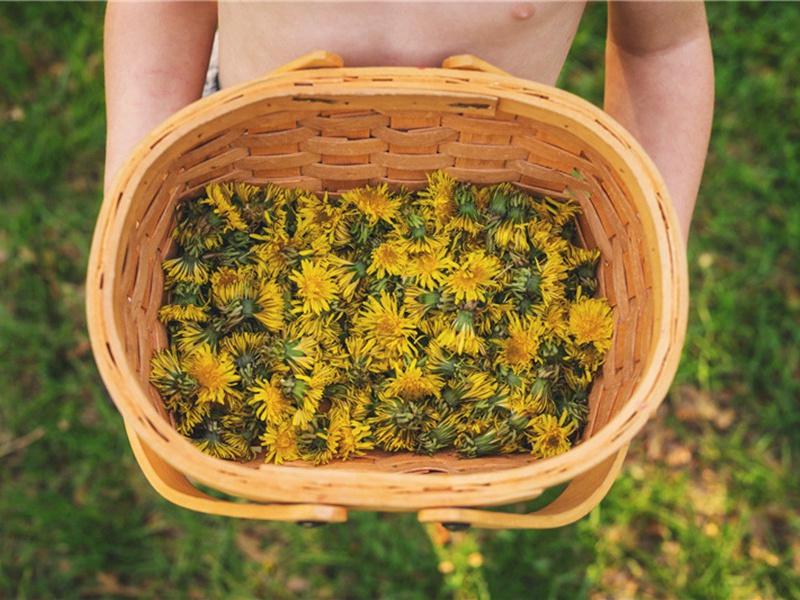 用彦平韵赋石外舅短项翁原文注释译文赏析-耿鎡诗词-宋诗全集