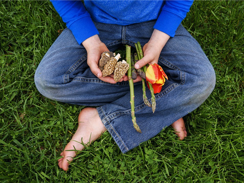 挽顾德将别驾原文注释译文赏析-黄公度诗词-宋诗全集