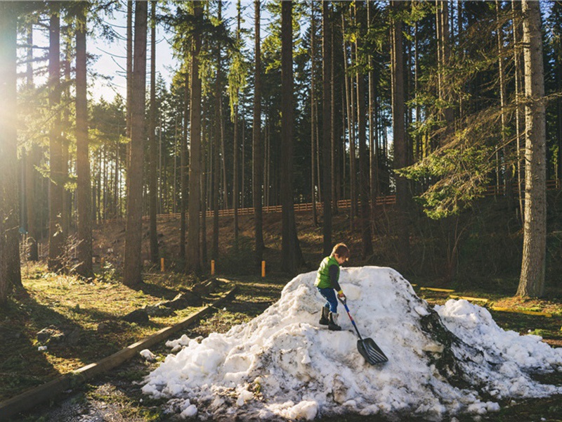 食鲥鱼原文注释译文赏析-贺铸诗词-宋诗全集