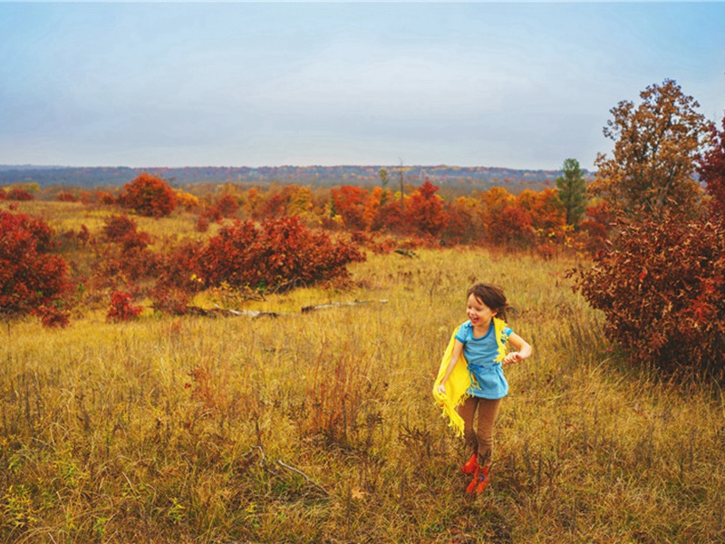 送吴安道学士知崇州原文注释译文赏析-范仲淹诗词-宋诗全集