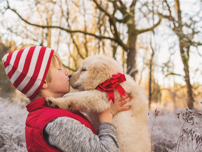 秋居杂咏·其九原文注释译文赏析-李弥逊诗词-宋诗全集